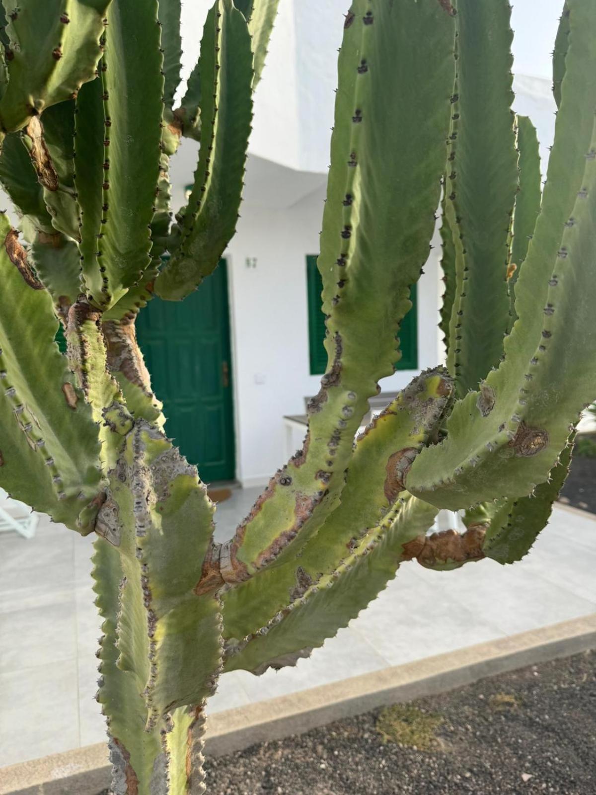 Cotillo Eksteriør bilde